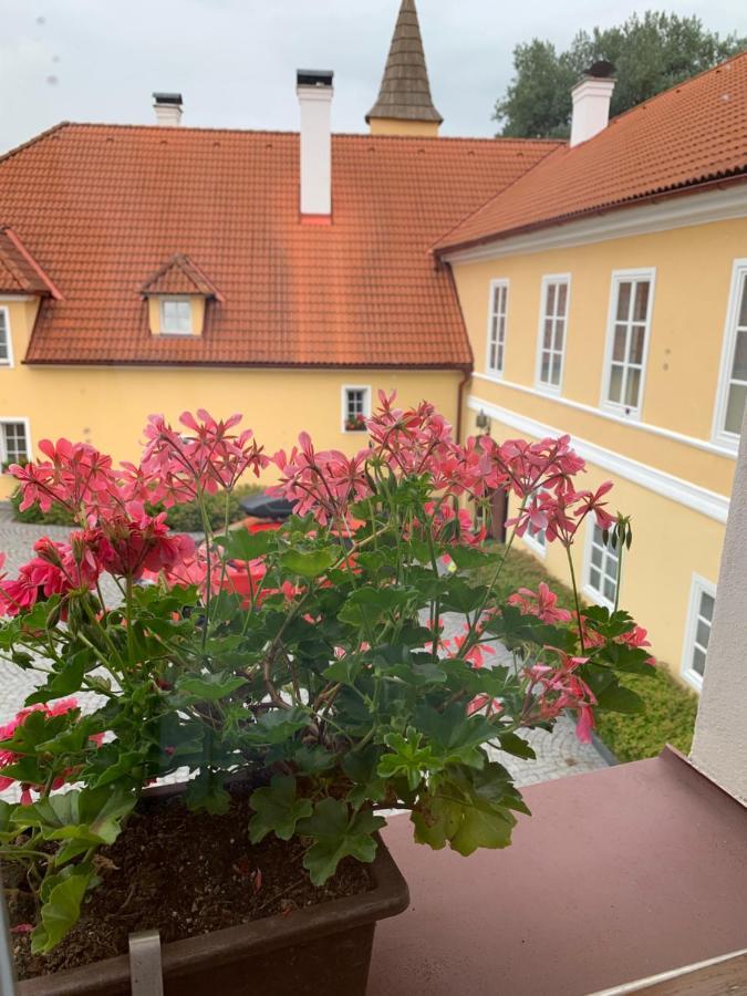 Zámek Jindřichovice Kolinec Exterior foto